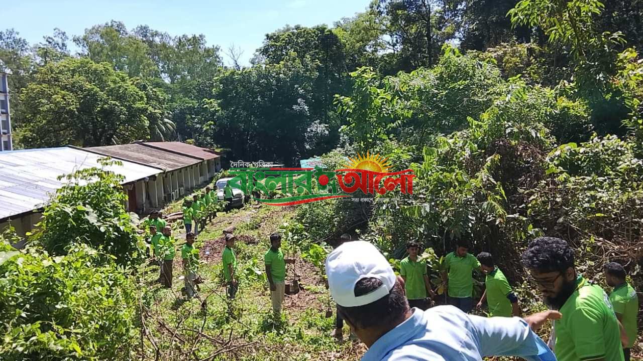 চবিতে পরিবেশ রক্ষায় শিক্ষার্থীদের তিন হাজার বৃক্ষরোপণ